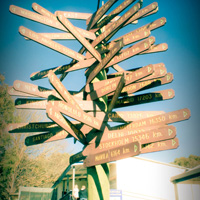 呼死你在线免费试用