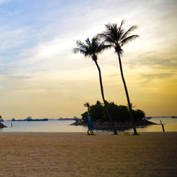 轰炸手机号在线使用